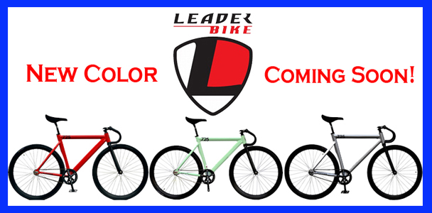 LEADER BIKE 725 TR